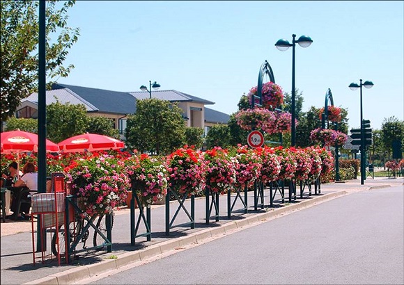 科普知识：城市园林绿化工程政策法规是怎样的？