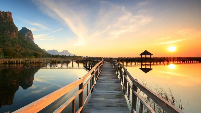 园林绿化怎样打药施肥呢