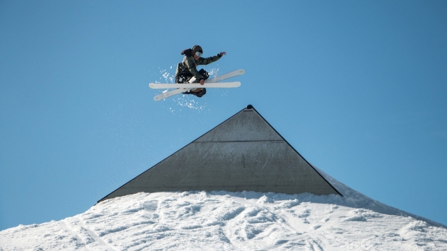 九游会：园林绿化的植物名称是