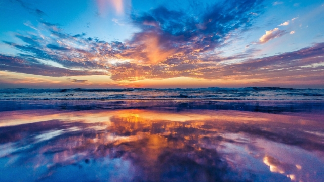 园林绿化的养护知识