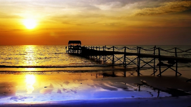 九游会J9：园林绿化球类