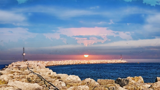 园林绿化养护常用知识