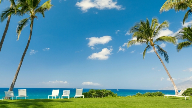 园林绿化养护室