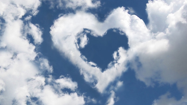 九游会：园林绿化观光花