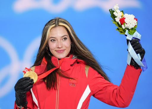 园林绿化盆景草花