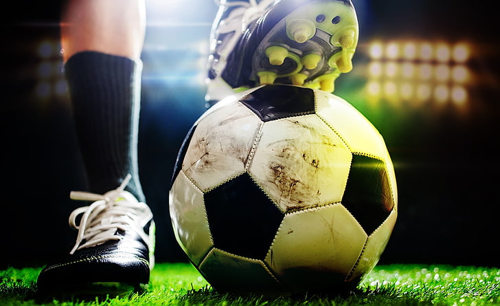 园林绿化与管线的矛盾